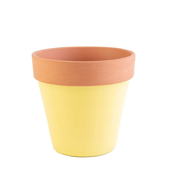 agsanremo VACO giallo
