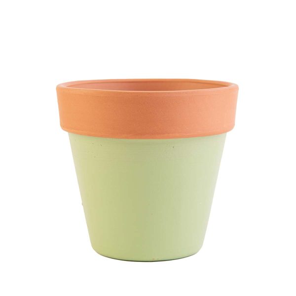 agsanremo VACO verde