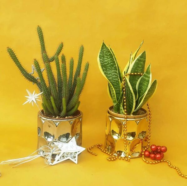 Vaso bolle oro/argento